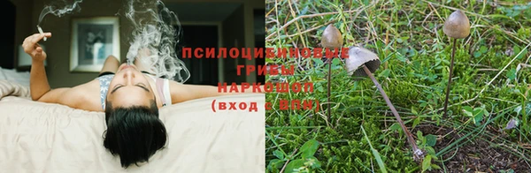 кокаин премиум Арсеньев